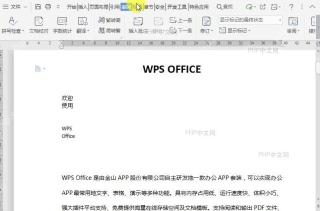 如何打开文档Web版式视图?中间操作