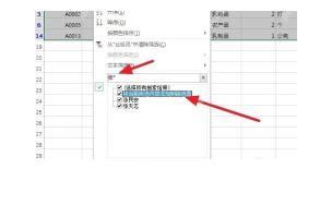 Excel 按关键词筛选后显示匹配结果