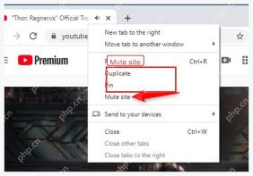 Chrome 标签页右键菜单中的 Mute site 静音网站选项