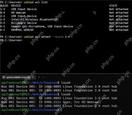 WSL 中用 lsusb 确认 USB 摄像头已附加