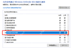 Win10 在允许应用列表中给指定项目勾选专用和公用网络权限