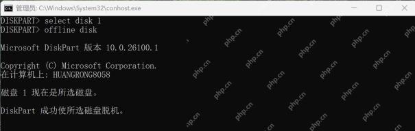 DiskPart 选择演示磁盘 1 后执行 offline disk 并成功脱机