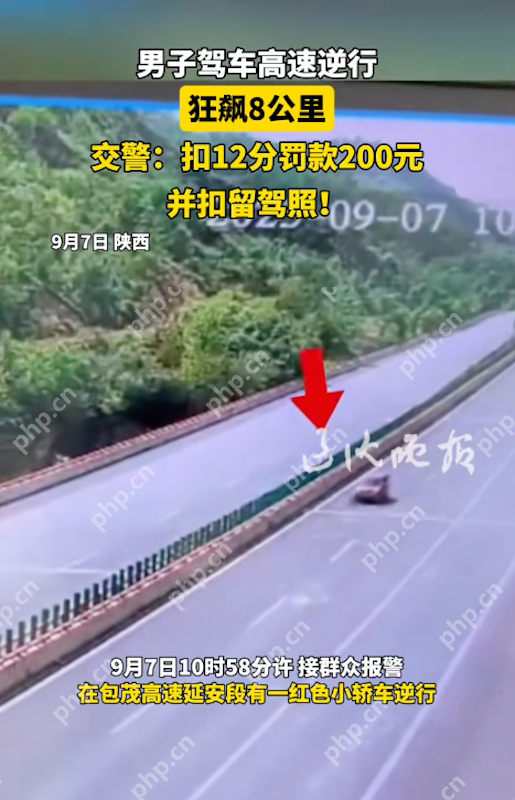男子高速“逆行狂飙”8公里：教科书式危险驾驶，处罚结果引热议 - php中文网