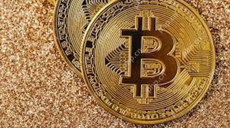 国内买卖比特币平台 - php中文网