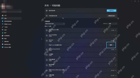 Win11怎么删除不需要的可选功能