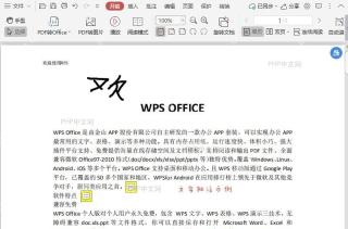 如何快速选择PDF文档中的奇数页面?入口位置