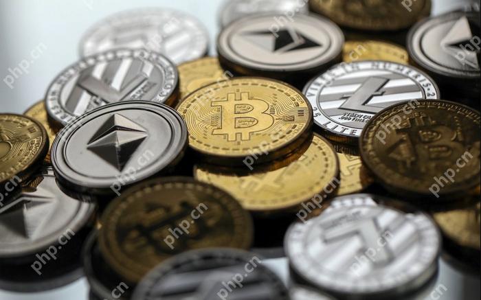 虚拟币交易软件哪个好?币圈主流加密货币交易平台盘点