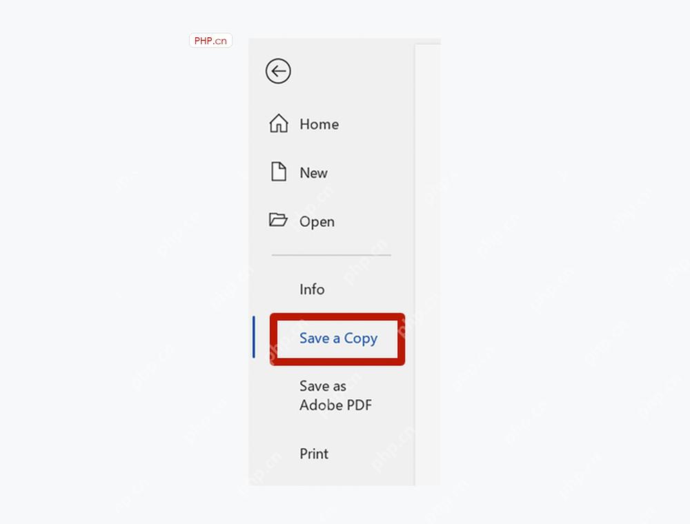 Microsoft Word 文件菜单中选择 Save a Copy 入口,用于保留原文档并生成 PDF 副本