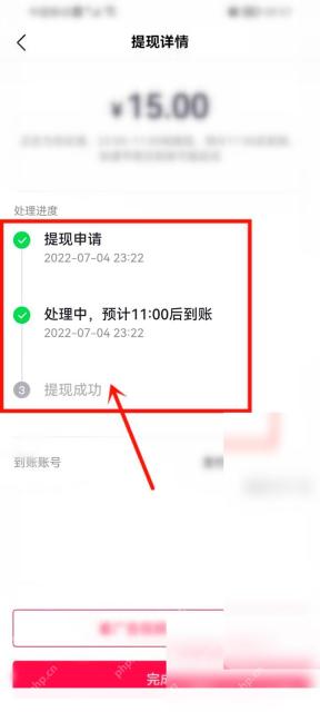 抖音极速版怎么查看提现到账记录步骤3操作截图