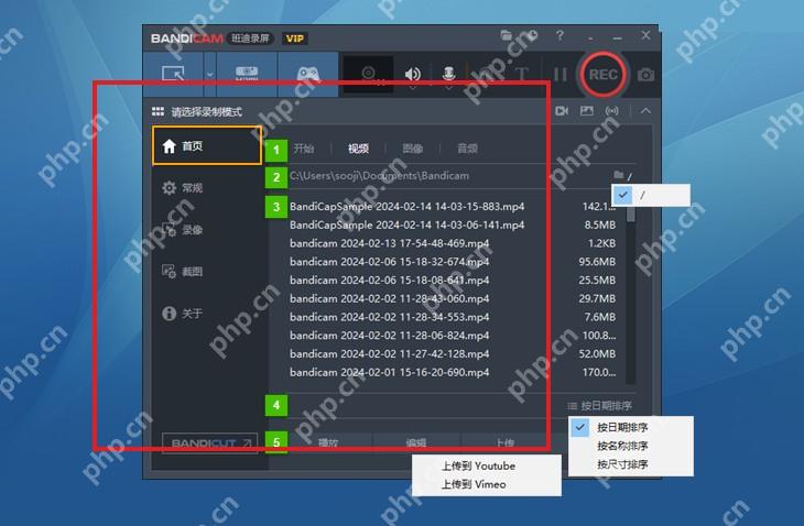 Bandicam Windows 视频标签页高亮录制文件列表