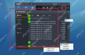 Bandicam Windows 视频标签页高亮录制文件列表