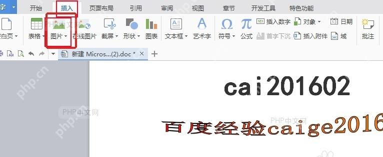 Word插入选项卡中点击图片按钮准备插入图片