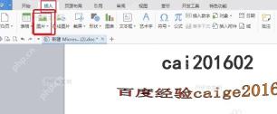 Word插入选项卡中点击图片按钮准备插入图片