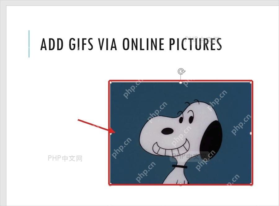 PowerPoint幻灯片中选中已插入的GIF动态图并检查显示区域