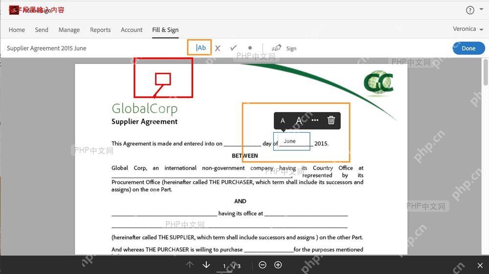 Adobe Acrobat 表单填写界面,突出文本字段位置,用于输入姓名或日期