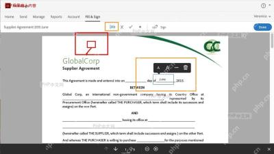 Adobe Acrobat 表单填写界面,突出文本字段位置,用于输入姓名或日期