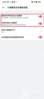 哔哩哔哩小窗播放和后台播放设置页里的后台播放相关开关