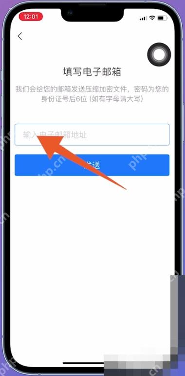 支付宝中文界面:电子邮箱输入框,对应步骤:范围确认好以后,继续填写接收交易流水证明的电子邮箱。邮箱写错了,后面就收不到证明文件。