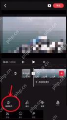 快影怎么消除视频背景噪音第2步：进入视频原声设置