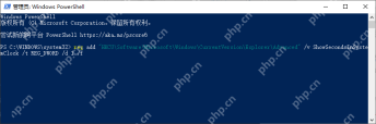 Win11 管理员 PowerShell 写入 ShowSecondsInSystemClock 命令