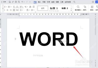 Word 中选中文字并打开文字效果菜单