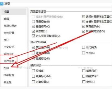 WPS 选项窗口左侧的打印设置入口