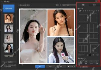 模板拼图窗口中的网格模板和预览效果