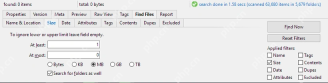 XYplorer Find Files 面板中的 Size 选项卡。