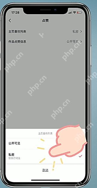 抖音主页喜欢列表可见范围中私密选项已被选中