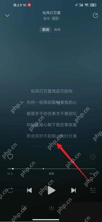 网易云音乐app怎么查看歌曲歌词步骤图3