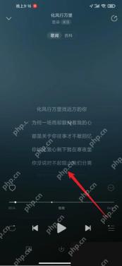网易云音乐app怎么查看歌曲歌词步骤图3