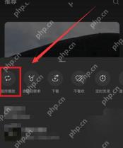 汽水音乐播放面板顺序播放按钮