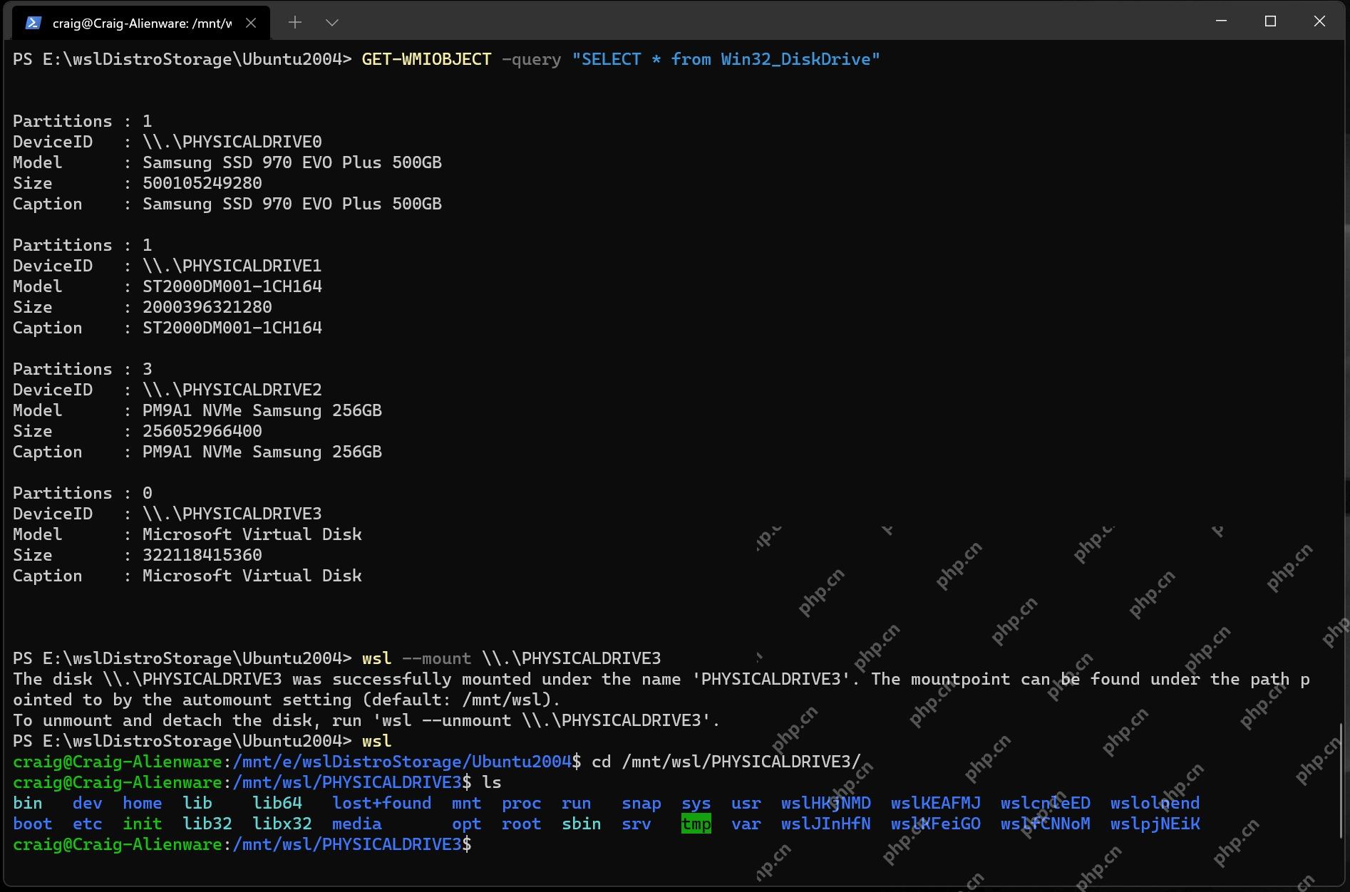 PowerShell 列出物理磁盘并使用 wsl mount 挂载