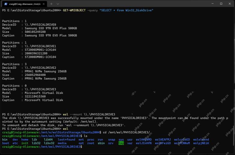 PowerShell 列出物理磁盘并使用 wsl mount 挂载