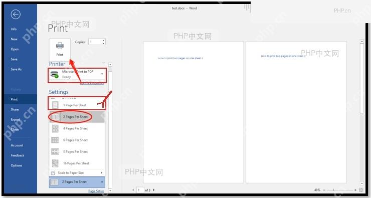 Word 打印设置区域,打印机和 Settings 下方页码设置位置被标出