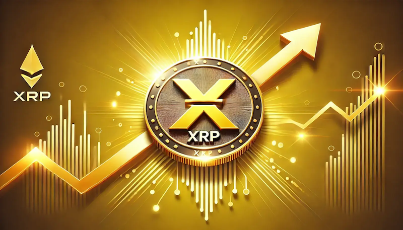 XRP现货ETF上线提振市场动能，SUBBD代币崛起成「下一个1000x」押注 - php中文网