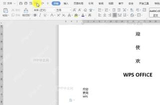 如何撤销文档操作?设置效果