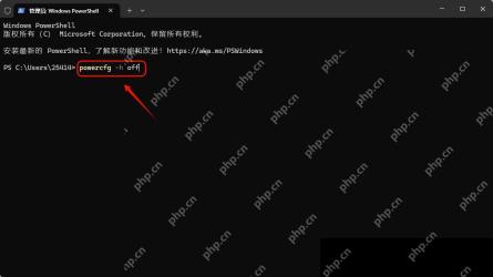 Win10 管理员命令窗口输入 powercfg -h off