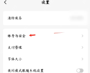 红果短剧设置页面账号与安全入口