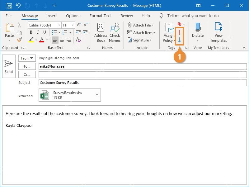 Outlook 新邮件窗口中切换到 Options 选项卡