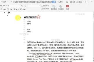 WPS在文档大纲视图中如何提升项目级别?设置效果