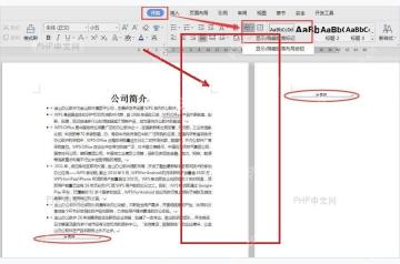 WPS 文档末尾显示分页符标记的位置