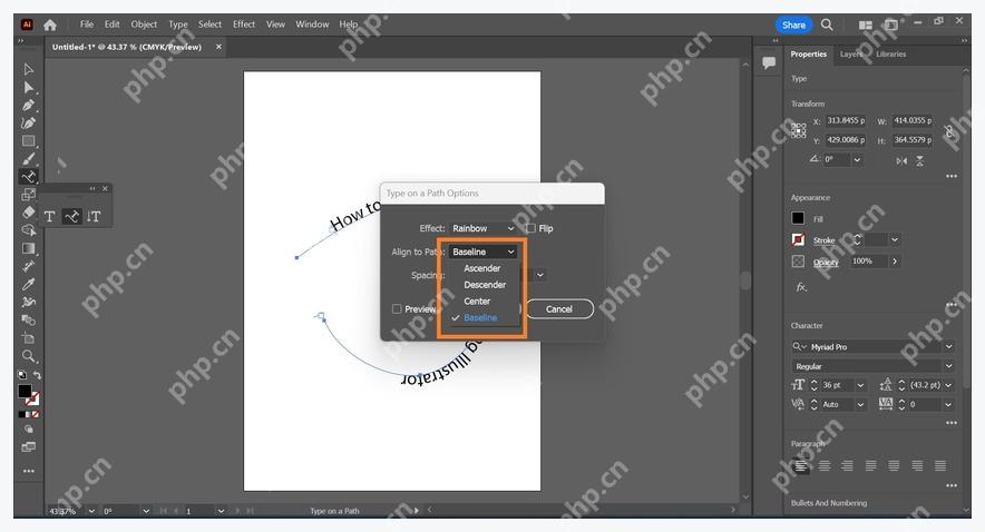 Illustrator Type on a Path Options 对话框中调整路径文字效果