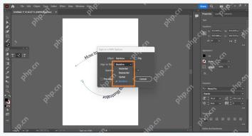 Illustrator Type on a Path Options 对话框中调整路径文字效果