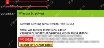 命令提示符运行 slmgr /dlv 查看 Product Key Channel