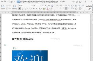 如何翻译文档图片中的文字内容?结果检查