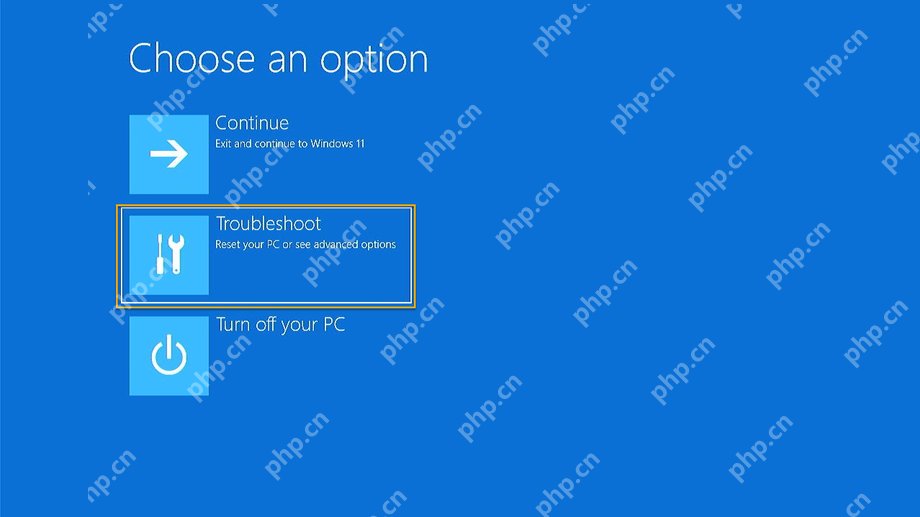 Windows 恢复环境中选择疑难解答