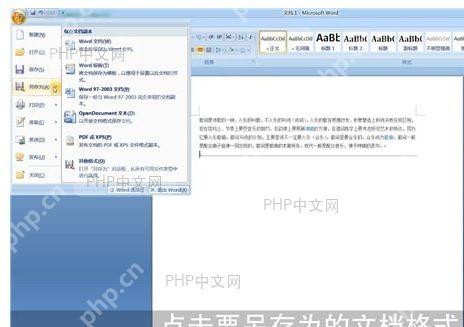 Word格式转换提示对话框界面
