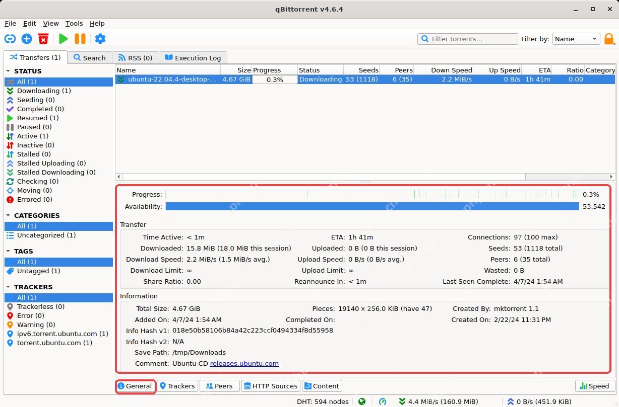 qBittorrent 底部 General 详情区显示任务信息