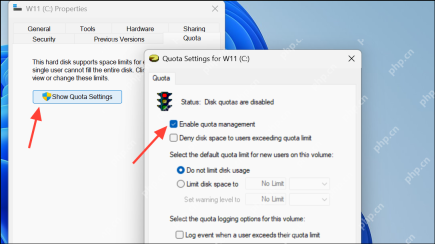 Win11 驱动器属性 Quota 页和 Quota Settings 窗口中显示 Enable quota management